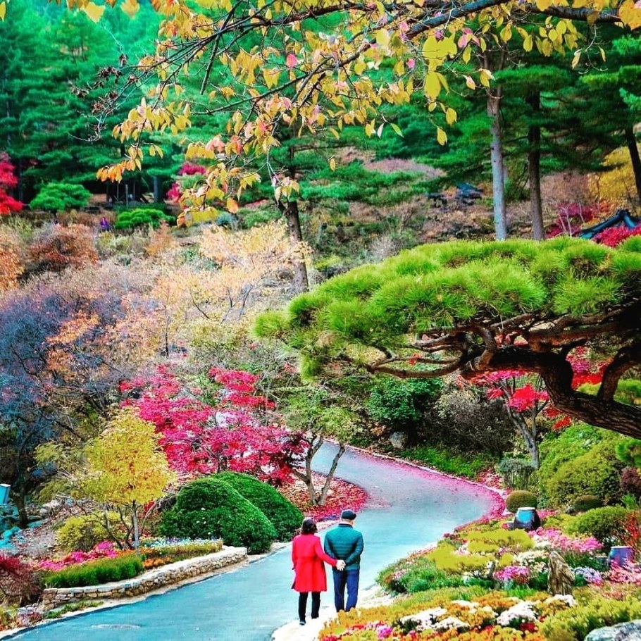 Сад утреннего спокойствия Южной Корее