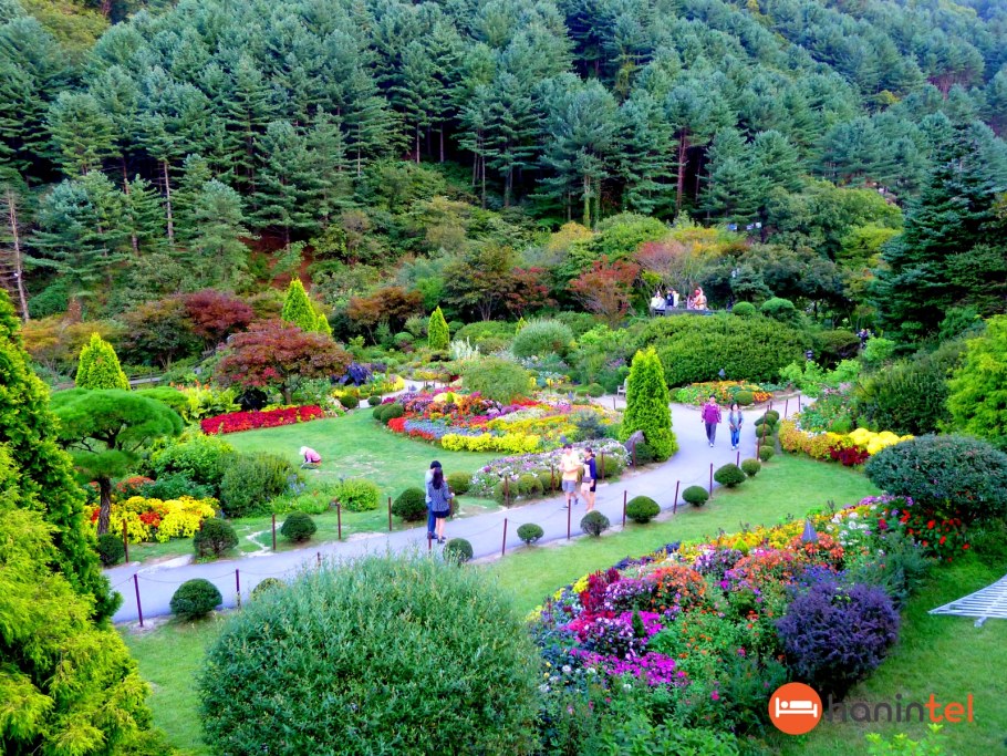 Южная Корея корейский сад