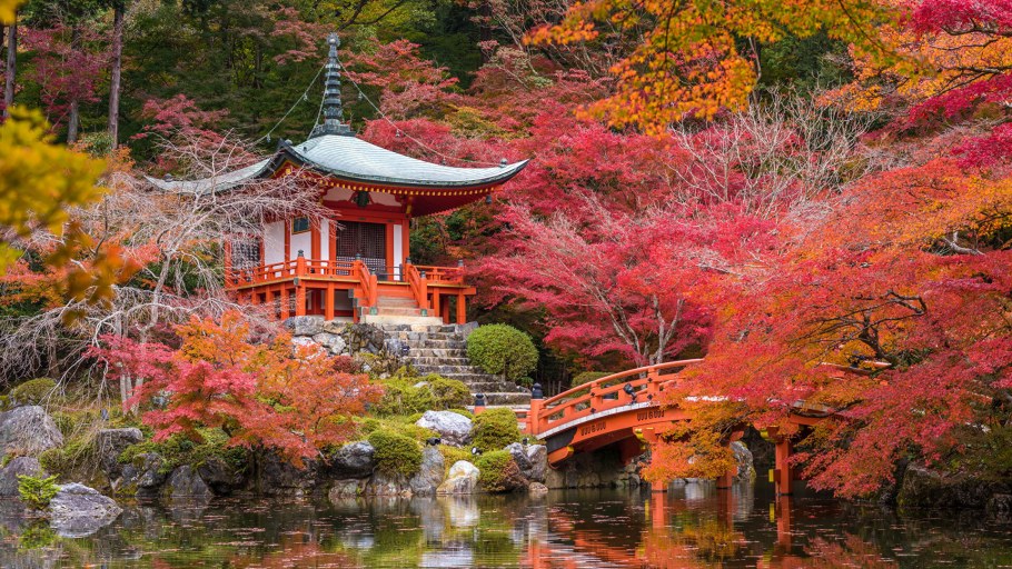 Киото клены Япония