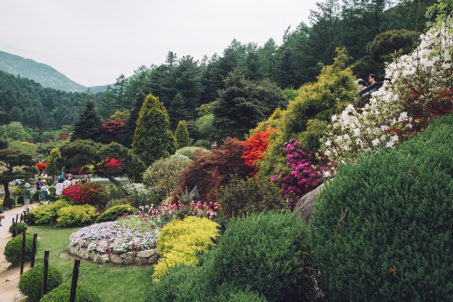 Южная Корея Сеул сад