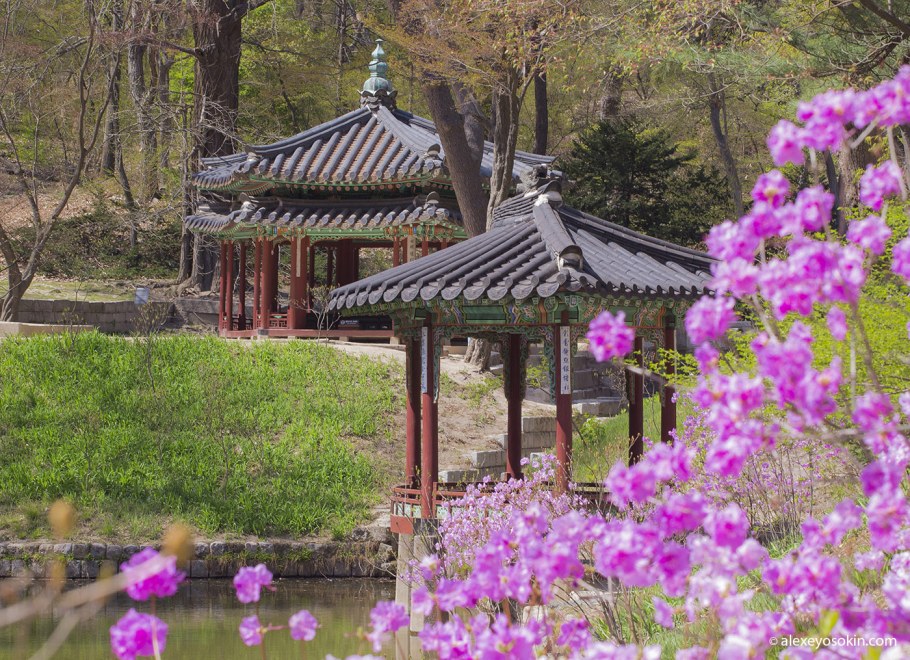 Дворец Чхандоккун секретный сад