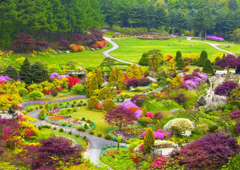 Сад утренней свежести