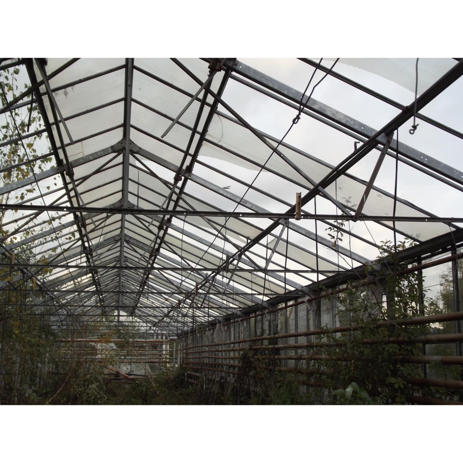 Каркас промышленной теплицы