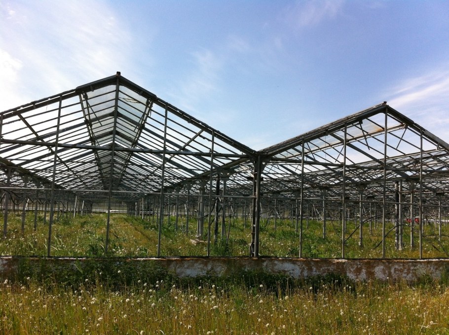 Промышленная теплица 1 га