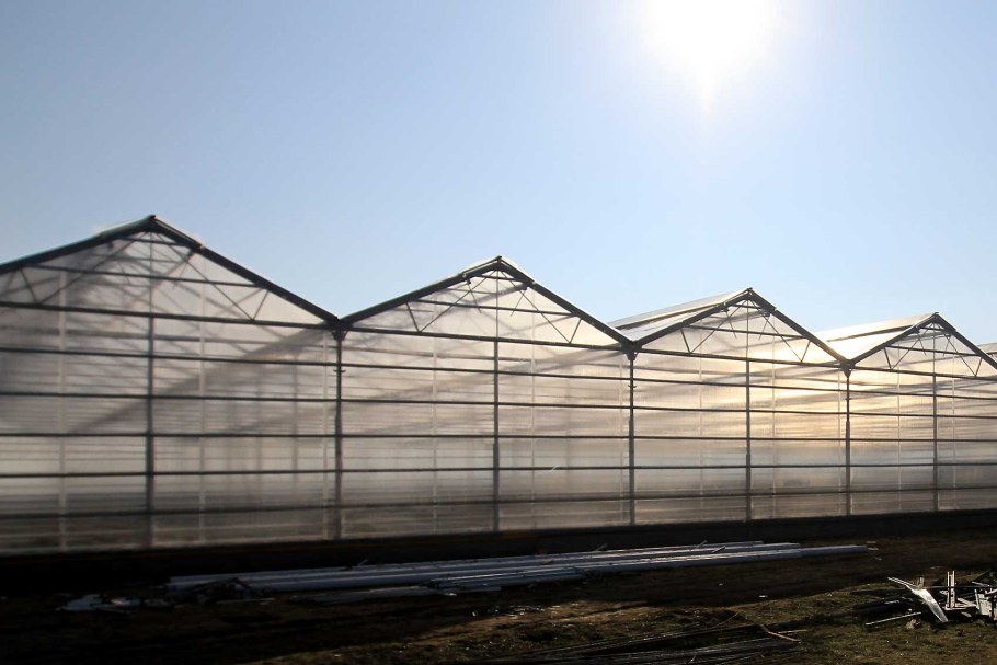 Теплица: Juliana Orangery 15,2m²