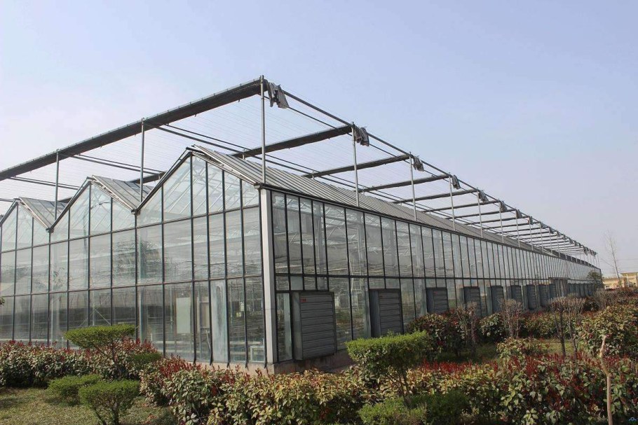 Venlo Glass Greenhouse