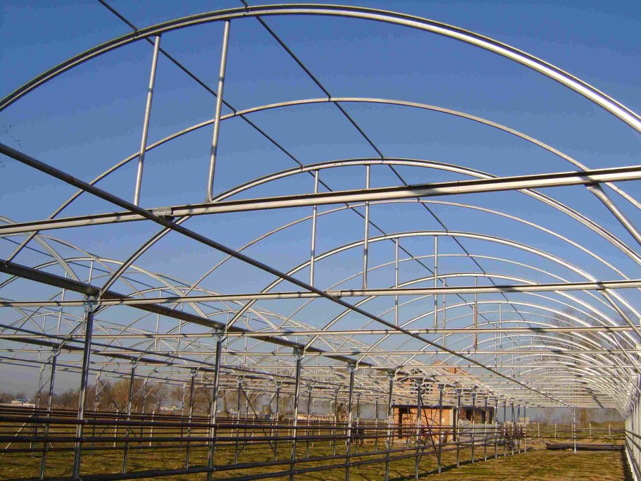 Теплица Узбекистонда