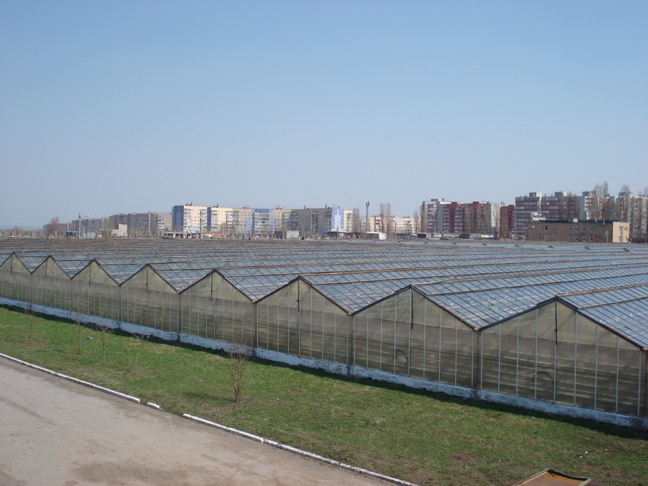 Теплица Промышленная антрацид