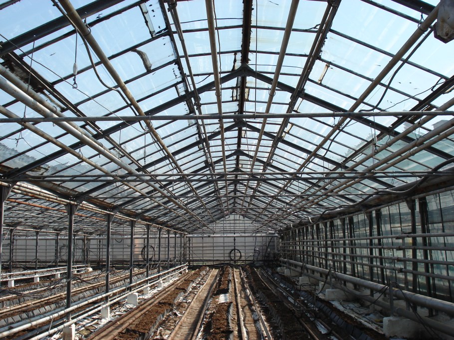 Теплица Промышленная антрацид