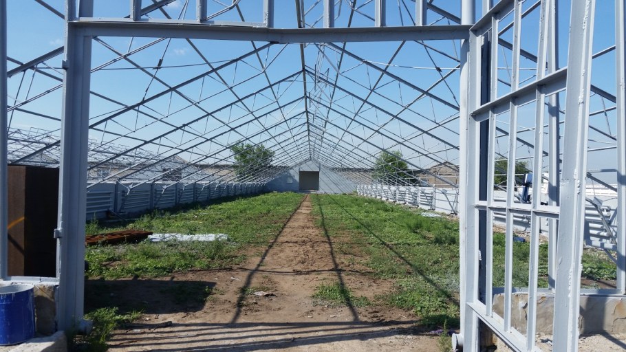 Советские промышленные теплицы