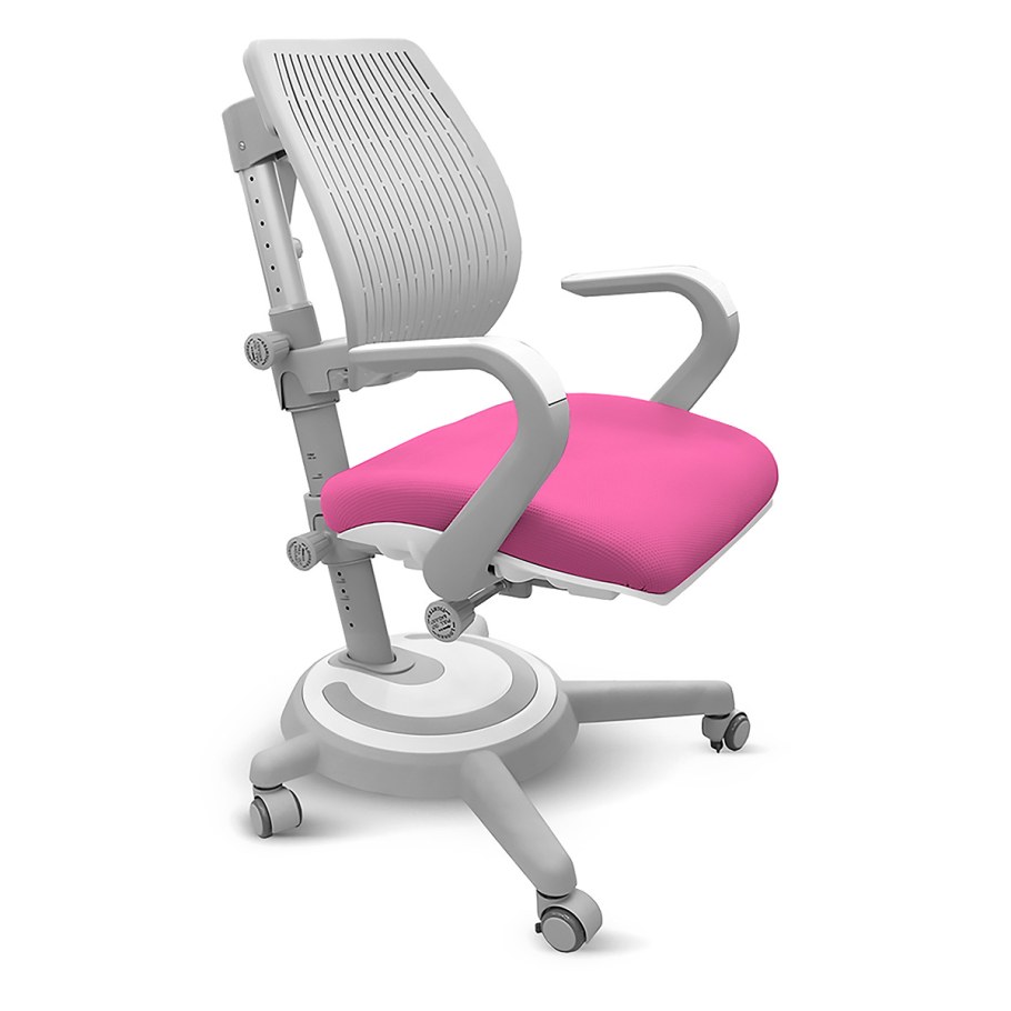 Детское ортопедическое кресло Mealux Ergoback