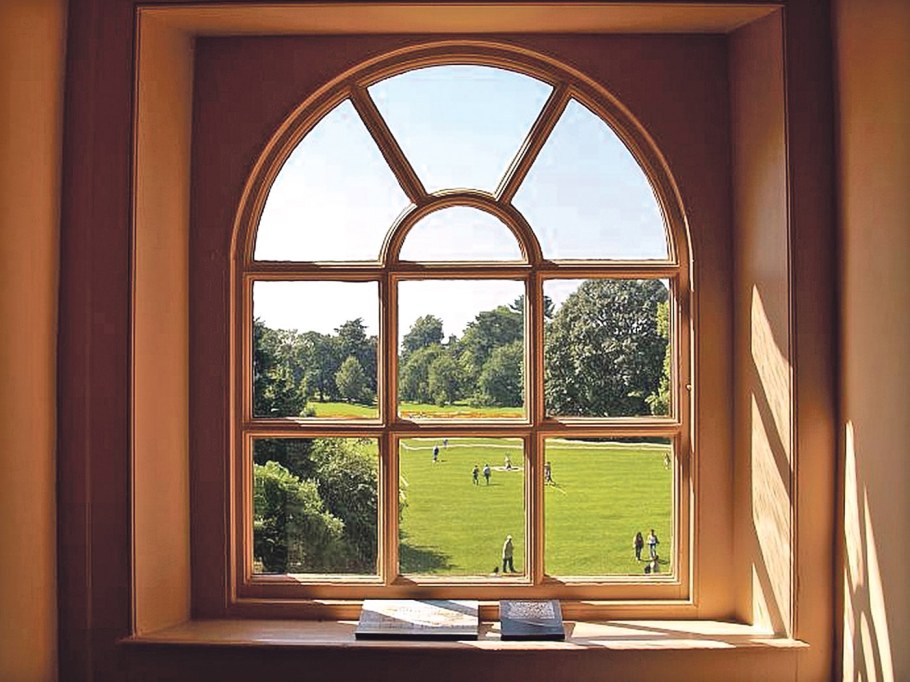 Евродерево окна