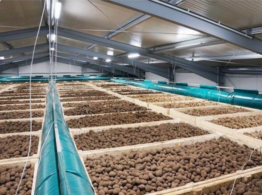 Овощехранилище картофелехранилище