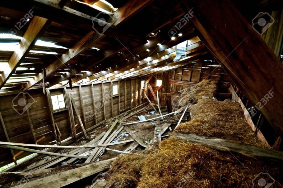 Разрушенные фермы коровники