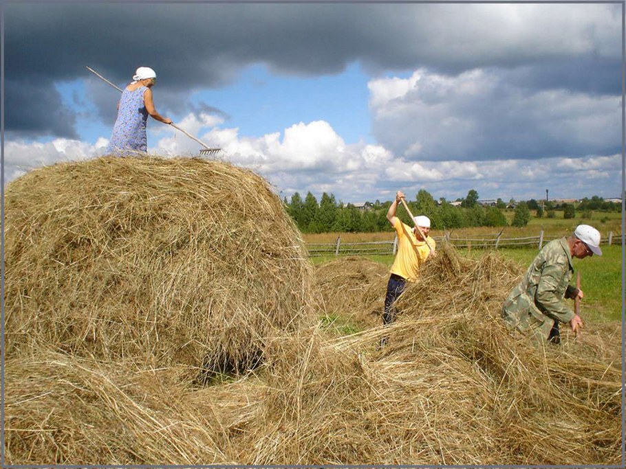 Деревня 1990 сенокос