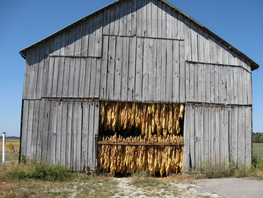 Табачный Амбар