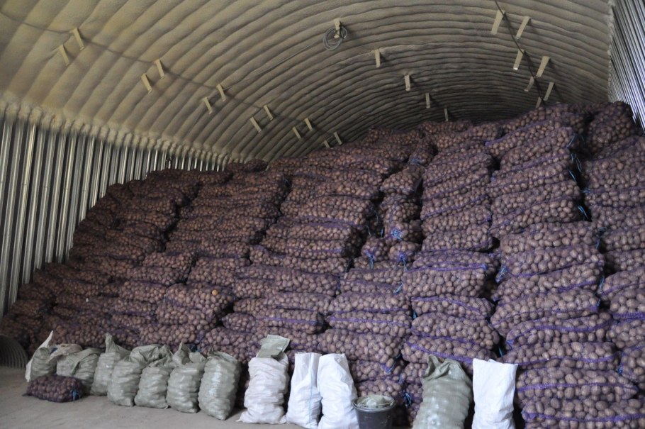 Овощехранилище бурты