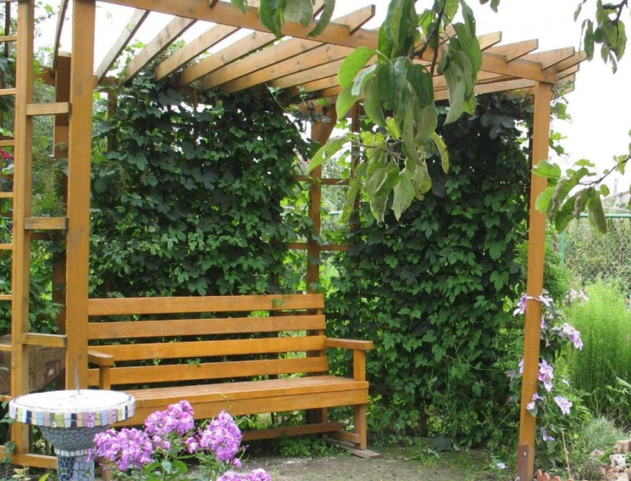 Пергола для винограда