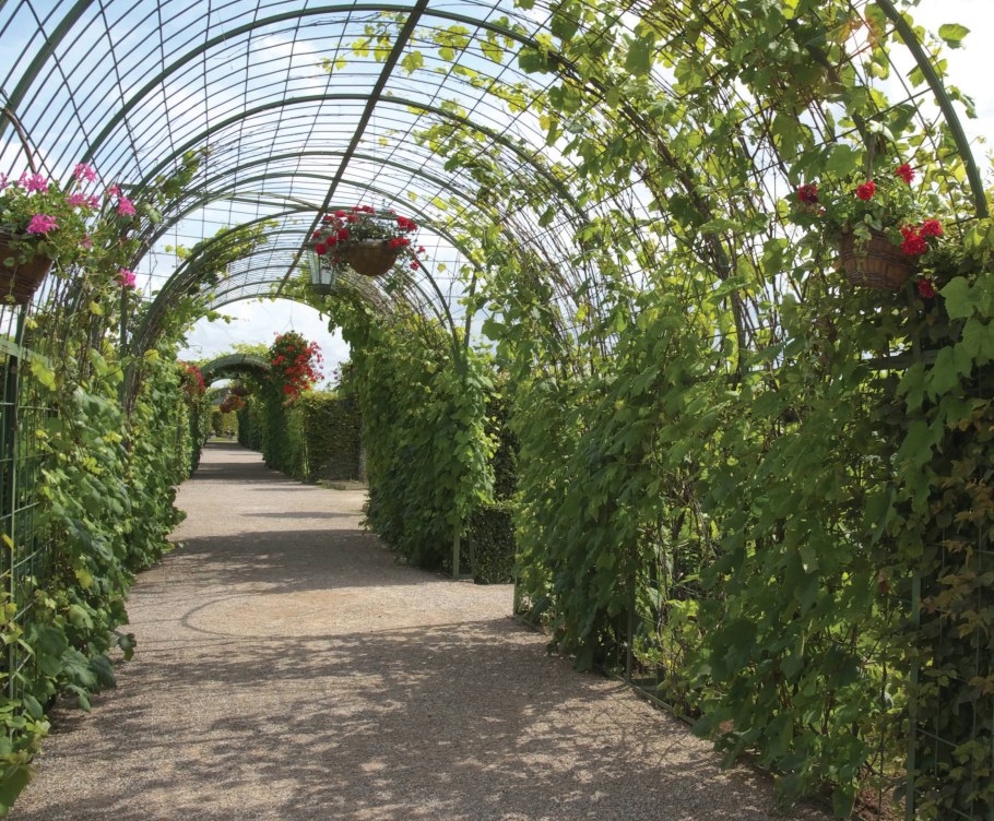 Шпалера полуарка