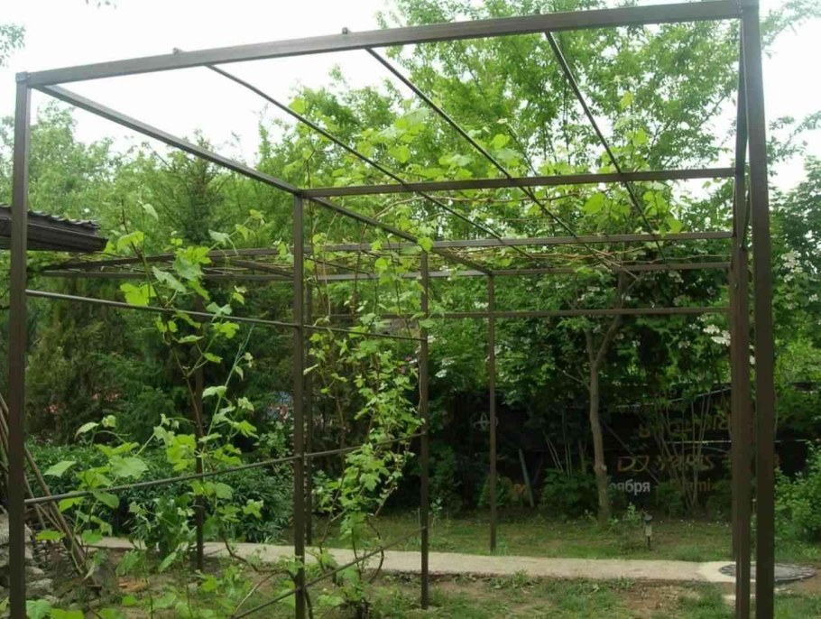 Пергола шпалера под виноград