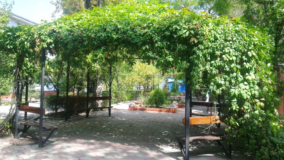 Пергола беседка для винограда