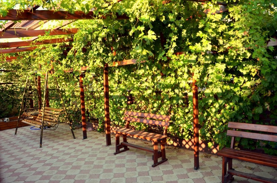 Пергола беседка для винограда