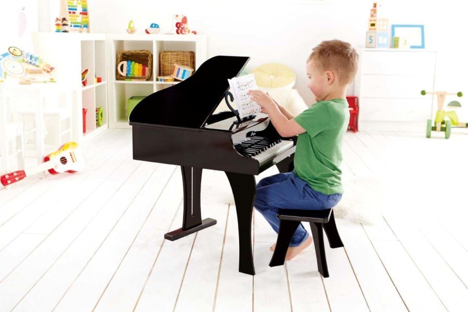 Hape Happy Grand Piano (e0319a)