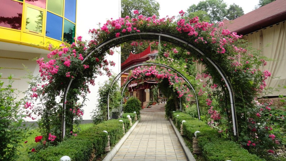 Цветочная арка на даче