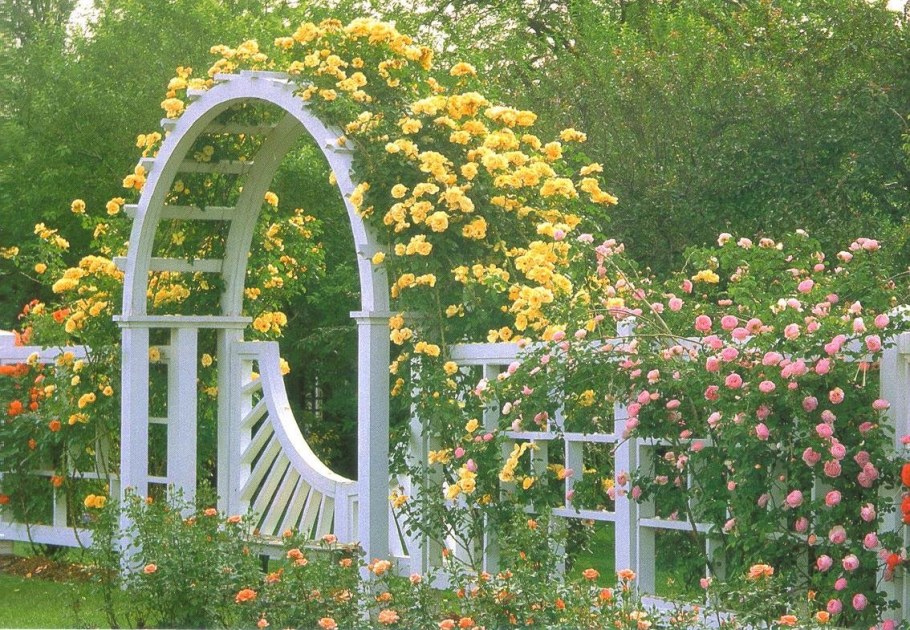 Арка Садовая белая Гарден