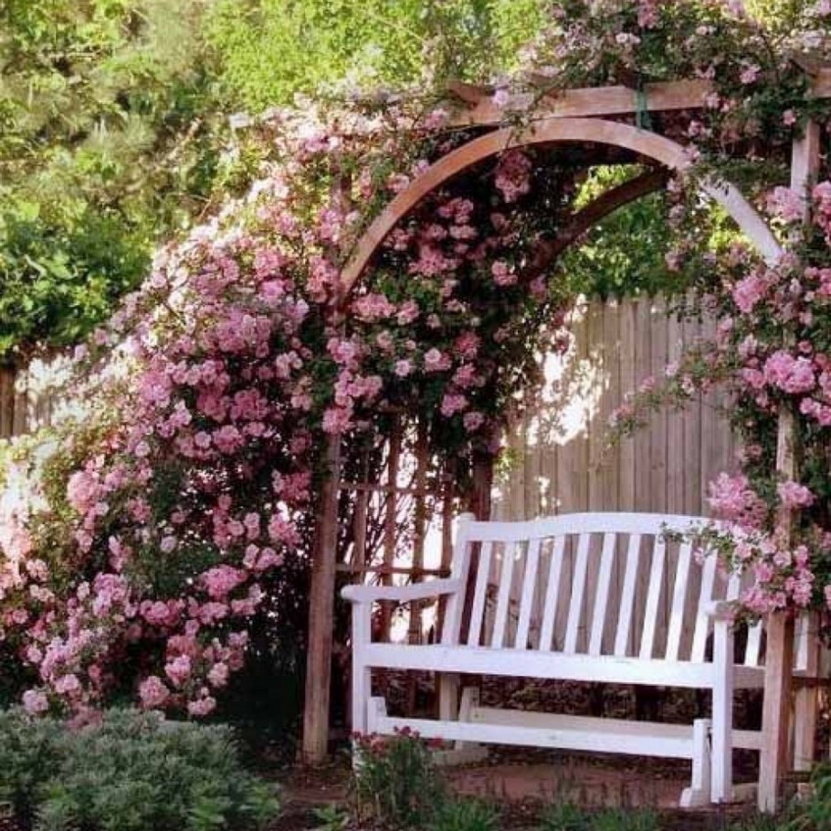 Арка увитая вьющимися растениями