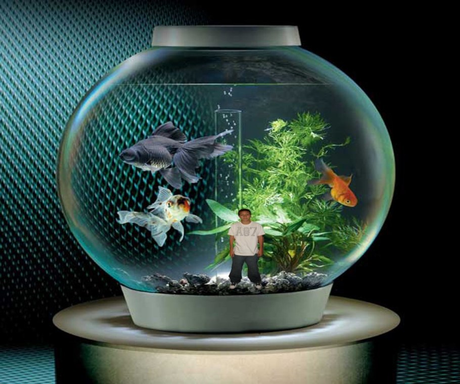 Круглый аквариум