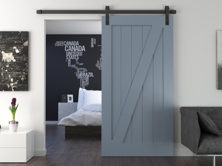 Амбарная дверь Barn Door 80