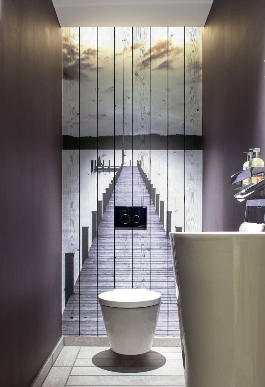 Необычный интерьер туалета