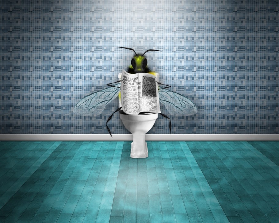 Прикольные обои на стену