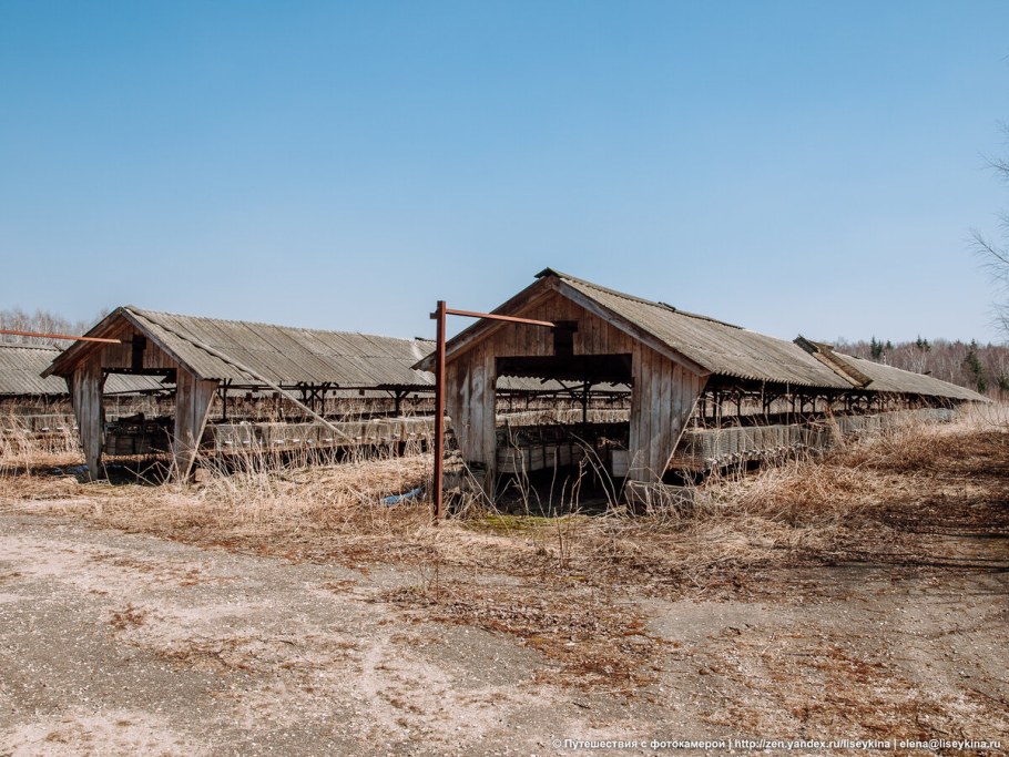 Заброшенная ферма