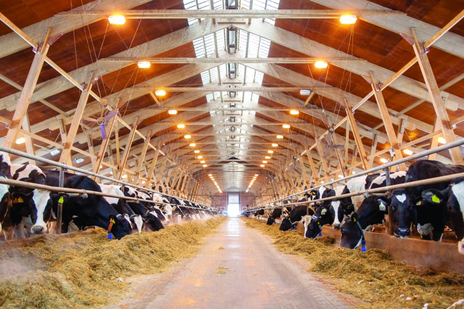 ОАО Заря животноводческий комплекс Нижегородская область