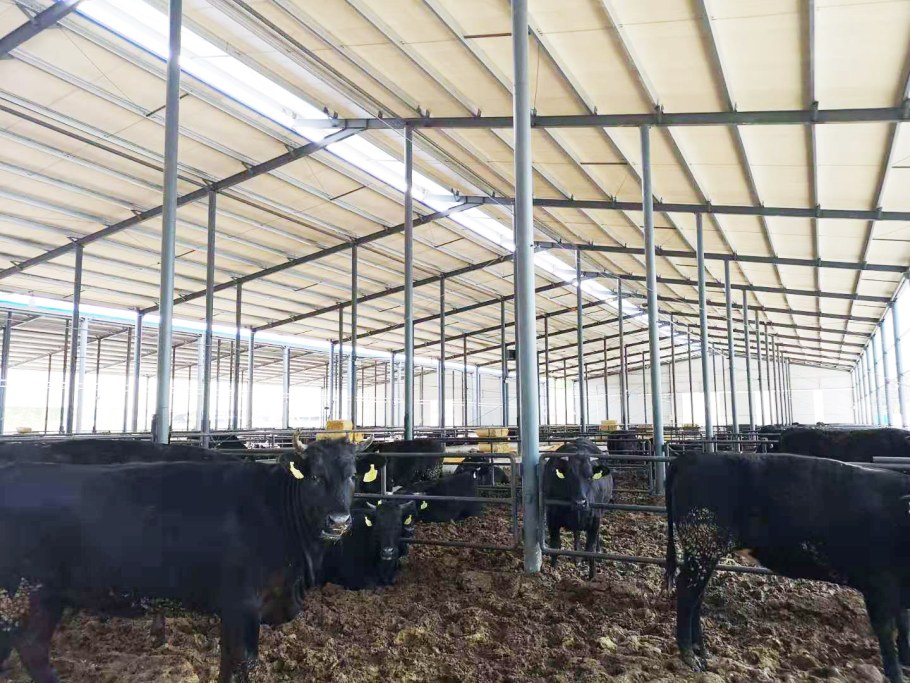 Компания Феррум стойловое оборудование