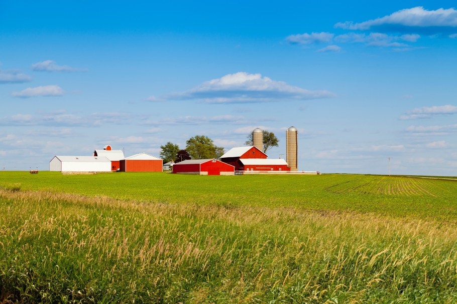 Сельскохозяйство и здания рядом