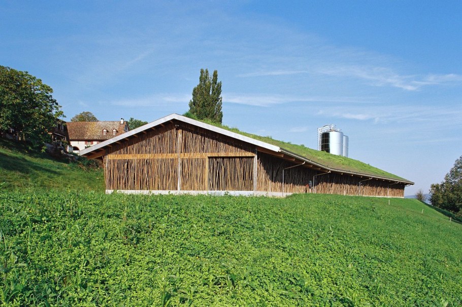 Коровники в Швейцарии