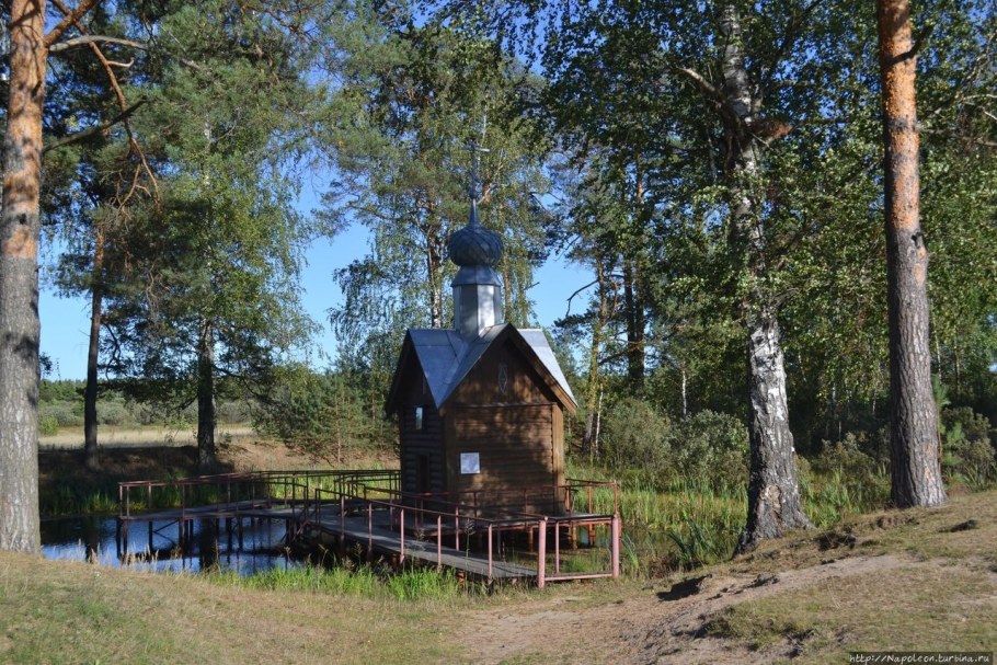 Тихонов источник д городок Лухский район