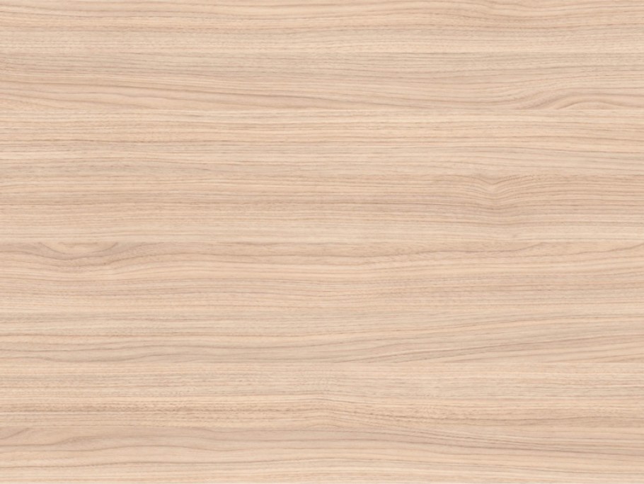 Кокоболо Эггер