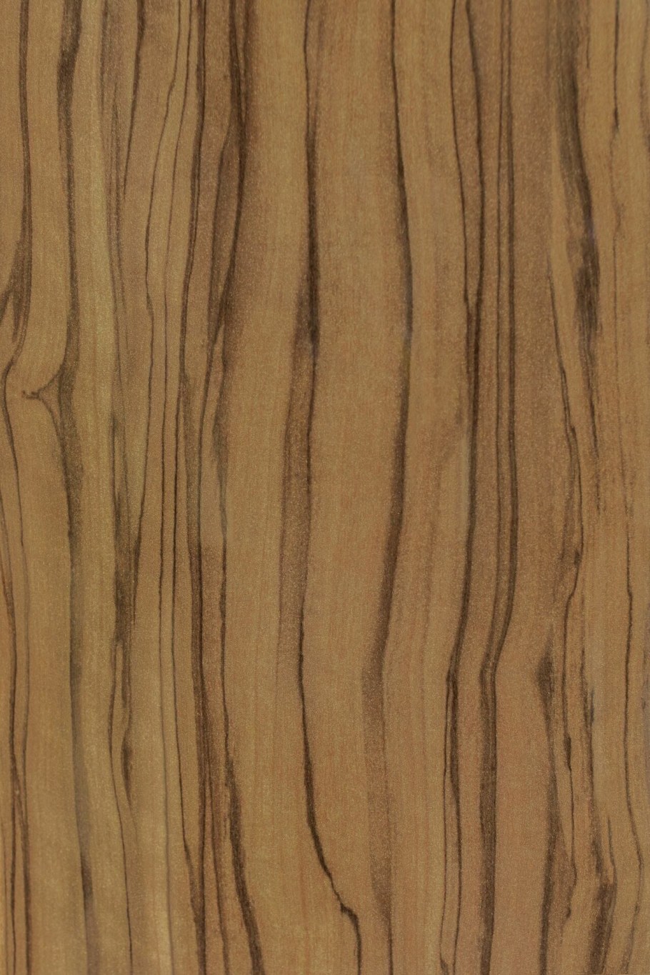 Олива МДФ 6мм лак