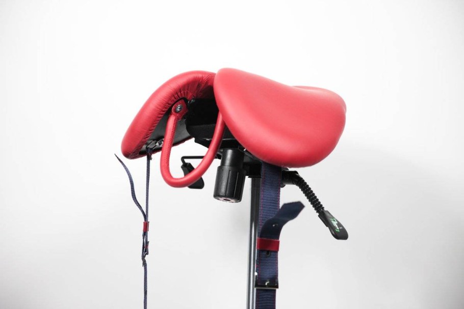 Gravitonus dynosaddle