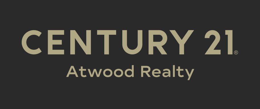 21 Век логотип