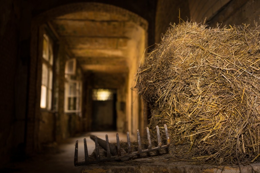 Сено в сарае