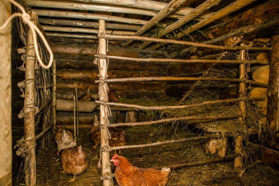 Двор для скота