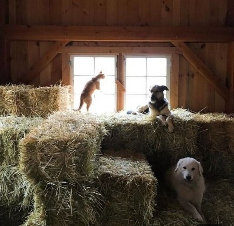 Ферма сеновал Переславль