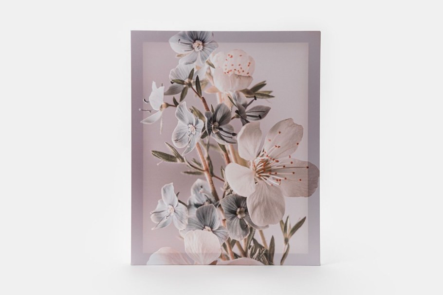 Канвас картина