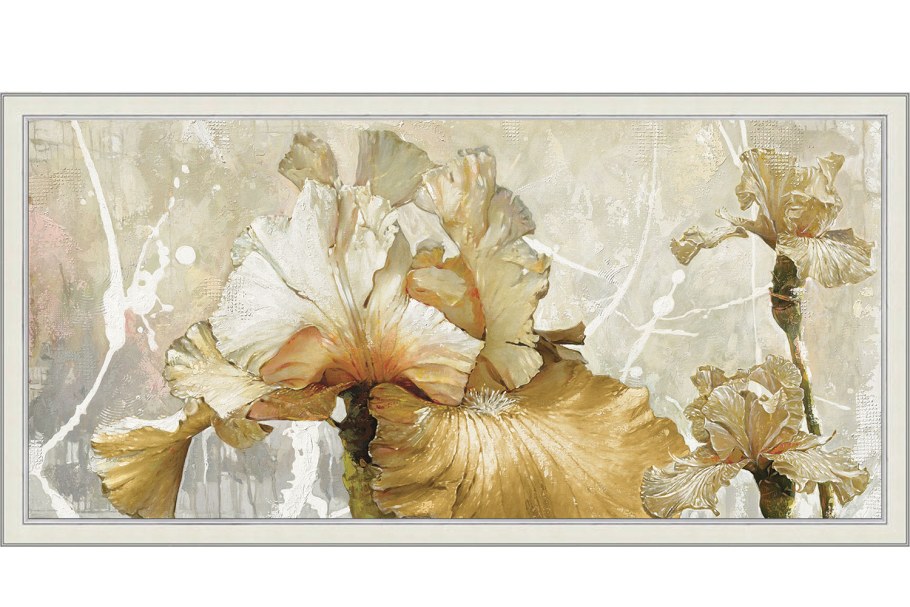 Картина Графис ирисы