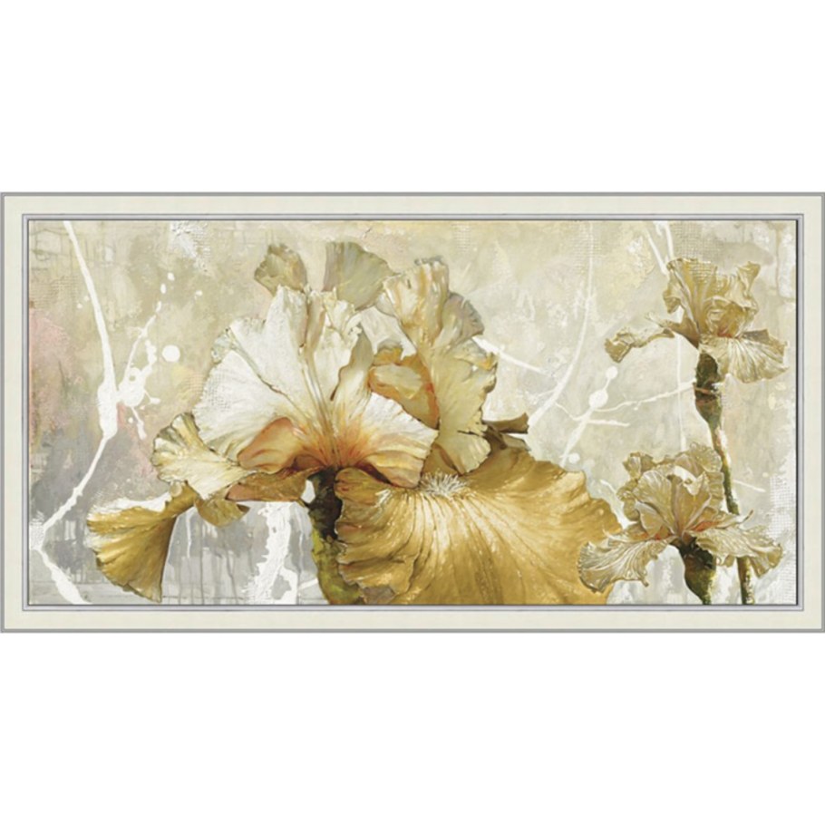 Хофф романтические ирисы